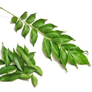 Curry leaves