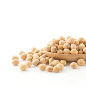 SoyaBean